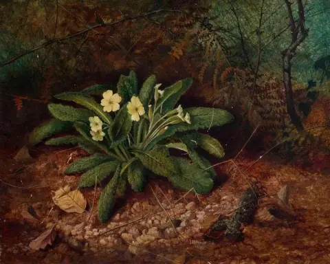 Primroses 1862