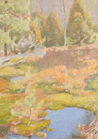 Paisagem 1