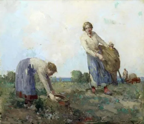Rapen verzamelen