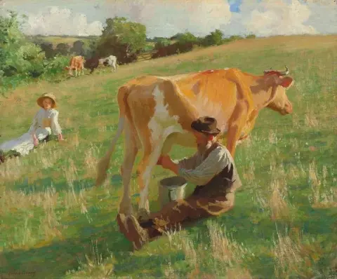 Летняя дойка 1916 г.