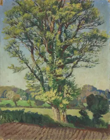 榆树 1927