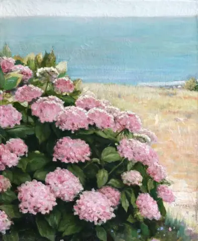 Hortensiat rannikolla noin 1890