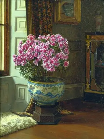 A Double Pink Azalea