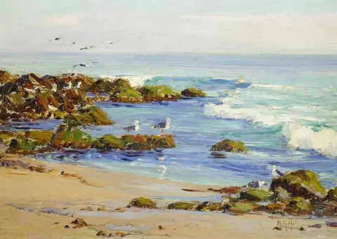 Gulls At Play