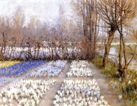 Vårkrokusfält ca 1889
