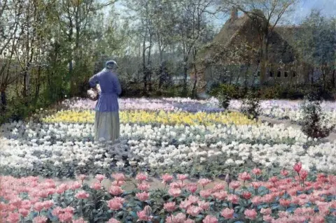 Tulip Culture 1889