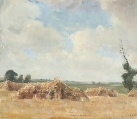 Paesaggio del raccolto