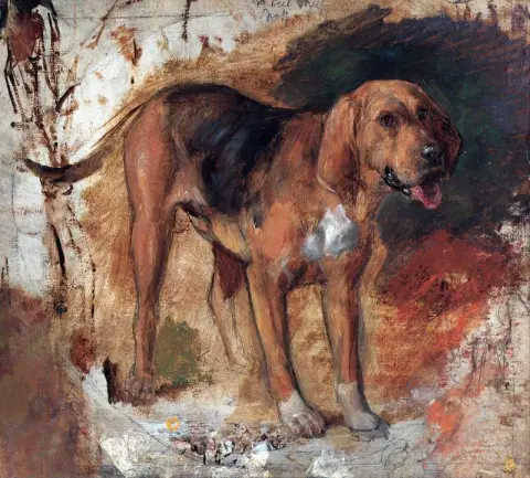 寻血猎犬的研究 1848
