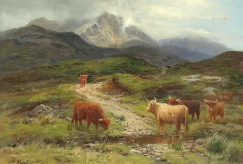 Bestiame al pascolo vicino a Beinn Eighe Kinlochewe