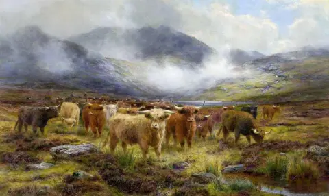 Bovini delle Highland 1914