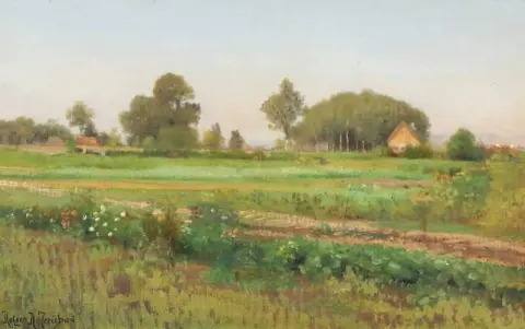 夏日风景