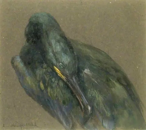 Aalscholver gladstrijken
