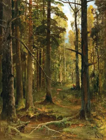 Lilla Rödluvan