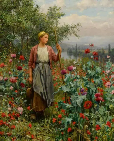 Poppies
