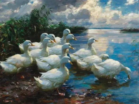 Patos à beira de um lago