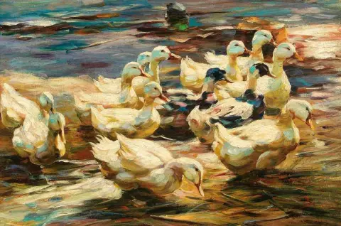 Patos saindo da água