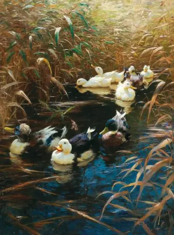 Patos nos juncos do outono