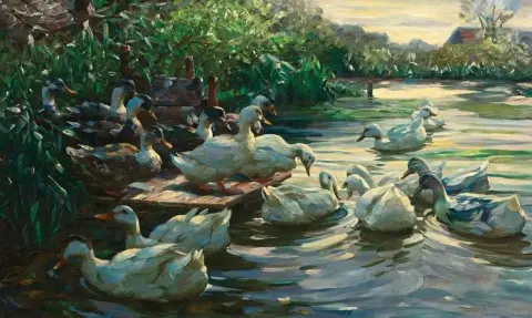 Patos na doca
