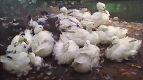 Moulting Ducks Ca. 1900