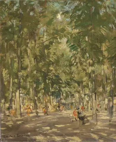 полдень в парке