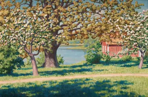 Landscape With Fruit Trees In Bloom