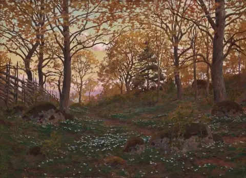 Spring Landscape At Dusk