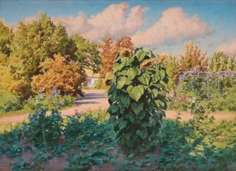 Sun Flower