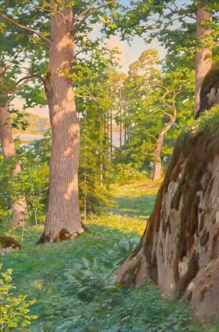 Sunlit Forest Lane With Lake
