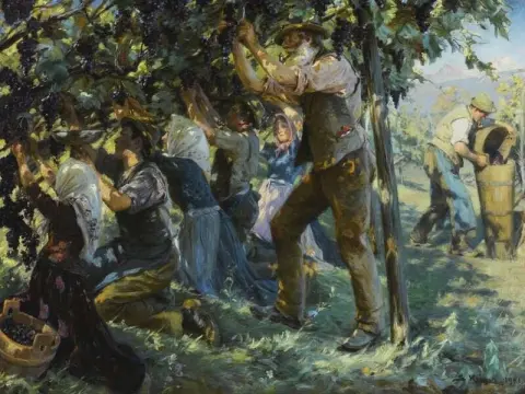 1901 年蒂罗尔州葡萄酒收获