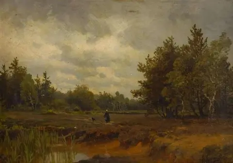 Луг в лесу