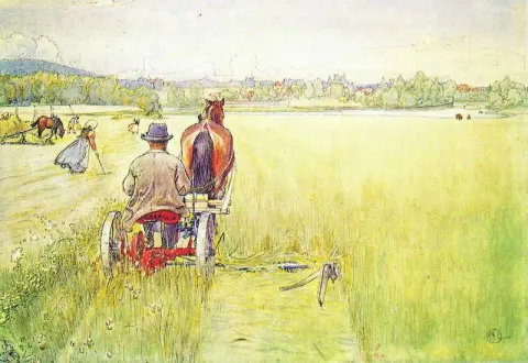 播种约 1905 年 1