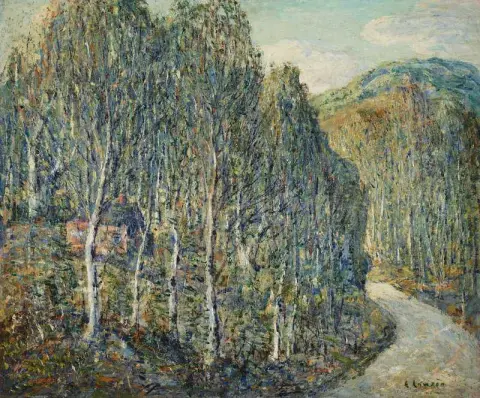 Δάση σημύδας περίπου 1919