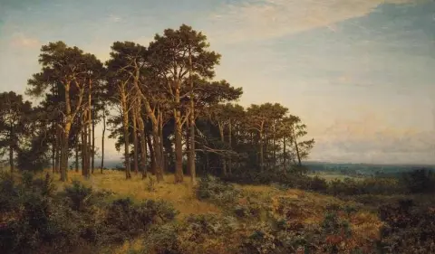 Λάμψη βραδιού 1895