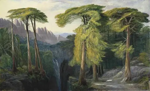 巴维拉森林，大约 1878-88 年