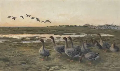 Bean Geese In A Marshy Landscape 1921