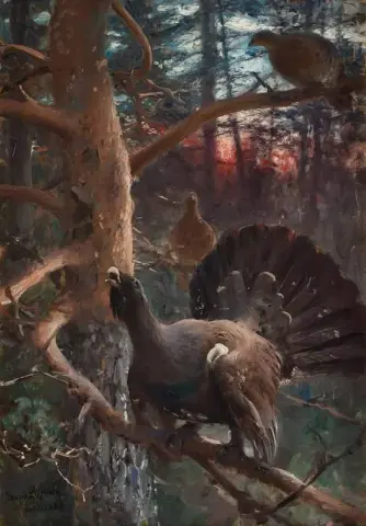 Singing Capercaillies