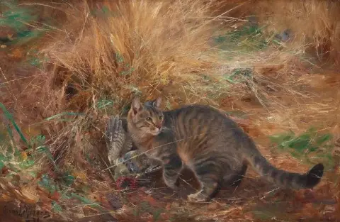 Cat With European Green Woodpecker
