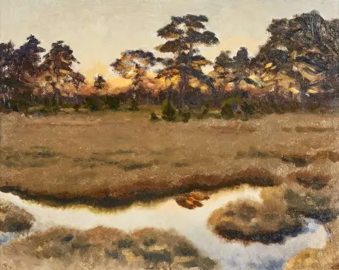 Dusk At A Bog