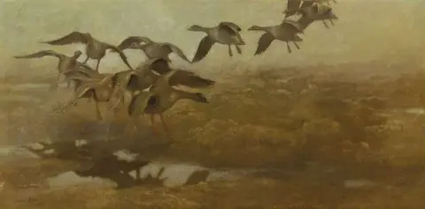 Fallande Vildgass 1907