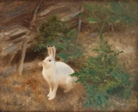 산토끼