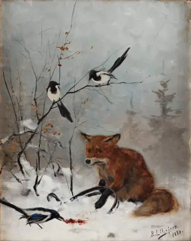 Trapped Fox