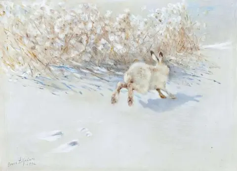 Winter Hare