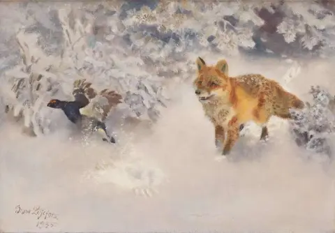 Winter Landscape With Fox And Black Grouse