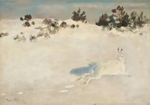 Winter Landscape With Hare