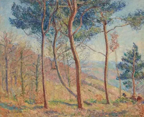 山中风景，约 1911 年