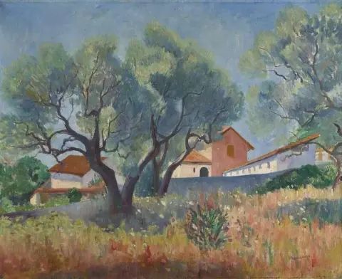 עצי הזית של סנארי 1911