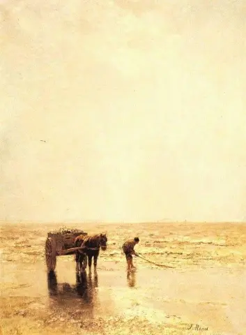 Schelpdieren verzamelen 1878-1879