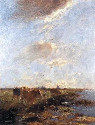 Koeien In Een Polderlandschap