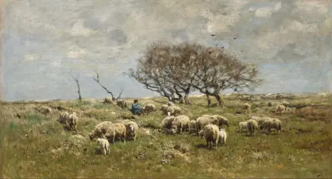 Um pastor com ovelhas no campo