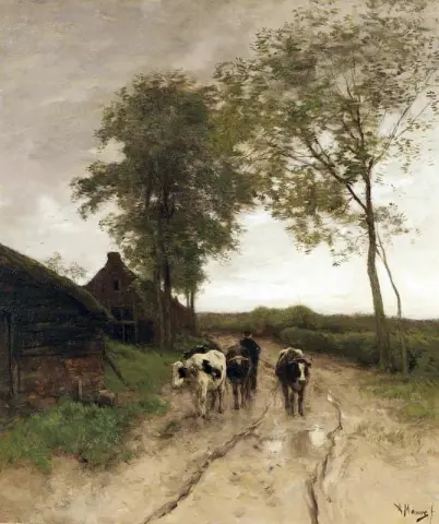 Entrando na vila